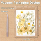 Dried Pressed Flowers Real Pressed Flowers Natural Dry Leaves Bulk Mixed - Image 2
