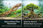 Azil Natural Aquarium Driftwood Root – Driftwood - Image 7