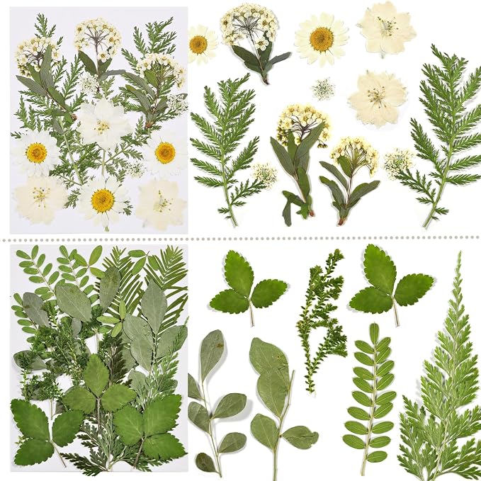 Dried Flowers for Resin | 68pcs Bulk Real Natural Pressed Flowers for DIY Art - Image 7