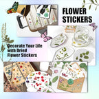 Arme Flower Stickers for Scrapbooking, Floral Sticker, Pressed Flower Sticker - Image 6