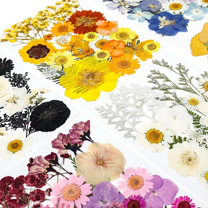 150Pcs Pressed Flowers for Crafts, Colorful Dried Flowers for Crafts Real - Image 2