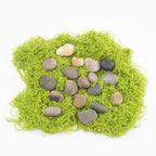 20 LBS Natural River Rocks - Image 4