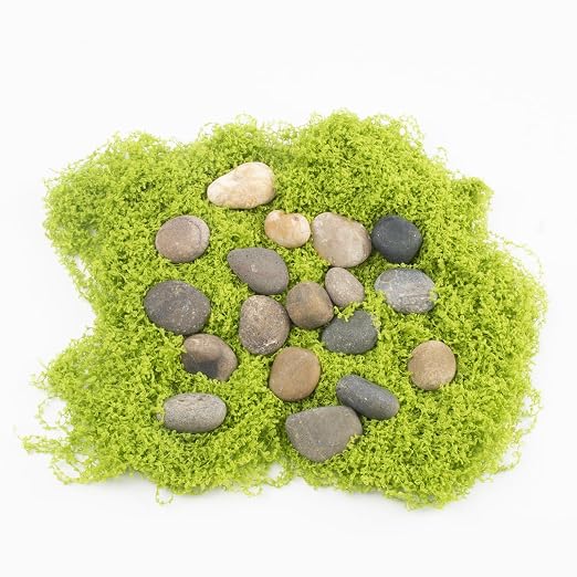 20 LBS Natural River Rocks - Image 4