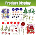 110+ Pcs Dried Flowers for Crafts, Real Pressed Flowers Bulk Small Dried - Image 2