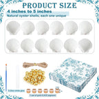 Gilprop 12 Pcs Large Scallop Shells - Image 2