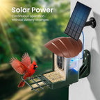 HEAPETS Bird Feeder with Camera Solar Powered, 3K HD Video, AI Bird Recognition - Image 4