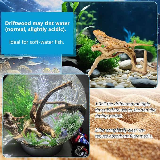 3 Pcs Natural Spiderwood for Aquarium, Aquarium Driftwood Freshwater 10-12 Inch - Image 4