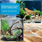 3 Pcs Natural Spiderwood for Aquarium, Aquarium Driftwood Freshwater 10-12 Inch - Image 4