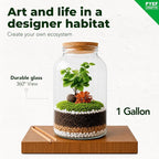 Terrarium Kit for Plants DIY | Starter Pack – Closed Ecosystem – 1 Gal Glass – - Image 2