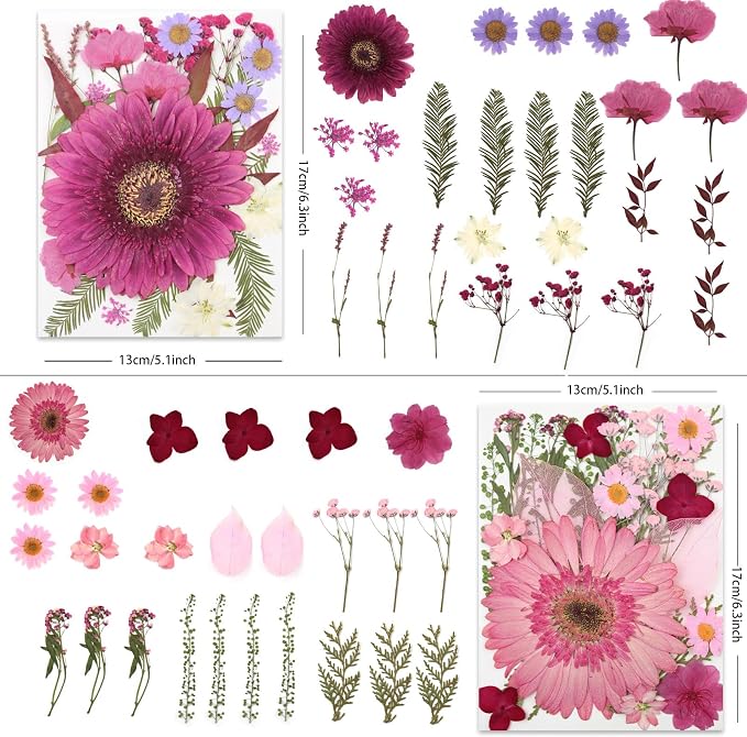 LUXEEASE 100P Vibrant Colors Large Dried Pressed Flowers | Gerbera daisy - Image 2