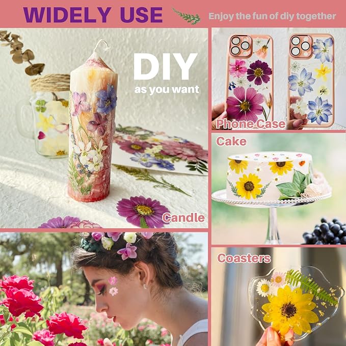 A4 Large Dried Pressed Flowers for Resin Purple Pressed Flowers Real Dry - Image 8
