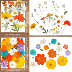 Nuanchu Pressed Flowers Bulk Dried Flower - Image 3