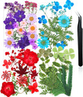 Nuanchu Dried Flower for Crafts Resin Pressed Flowers Bulk Real Dried by Nuanchu
