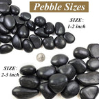FANTIAN 40 Pounds Black Natural River Pebbles – 2-3 Inch Decorative Black - Image 2