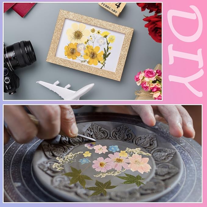 Nuanchu Dried Flower for Crafts Resin Pressed Flowers Bulk Real Dried - Image 6