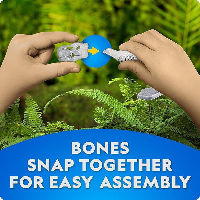 National Geographic Glow-in-The-Dark Dinosaur Skeleton Model Building Kit – - Image 4