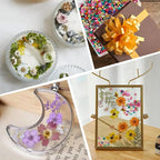 Mini Dried Flowers for Resin, Bulk Tiny Dried Pressed Flowers for Crafts DIY - Image 7