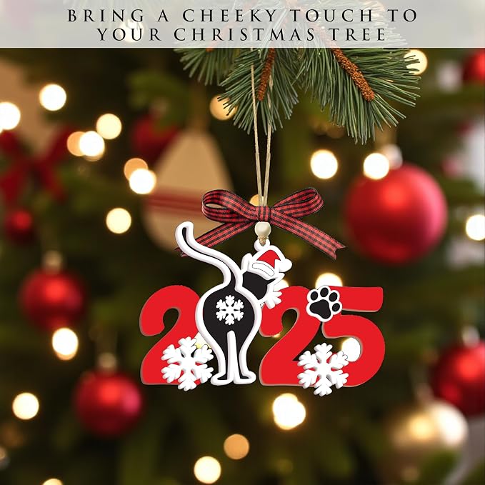 God Say You are Christian Christmas Ornament 2025, God Says I am 2D Flat - Image 5