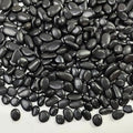 FANTIAN 5 lbs Pebbles for Indoor Plants. 3/8 inch Small Black Stones, by FANTIAN-GardeningMakesLifeBetter