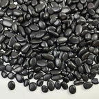 FANTIAN 5 lbs Pebbles for Indoor Plants. 3/8 inch Small Black Stones, by FANTIAN-GardeningMakesLifeBetter