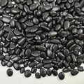 FANTIAN Black Pebbles for Indoor Plants, 3/8 inch Small Bag Stones, Decorative by FANTIAN-GardeningMakesLifeBetter