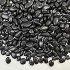 FANTIAN Black Pebbles for Indoor Plants, 3/8 inch Small Bag Stones, Decorative by FANTIAN-GardeningMakesLifeBetter