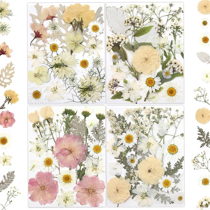 LUXEEASE 80P White Pink Dried Pressed Flowers | Ivory white palette, fits any by LUXEEASE
