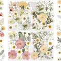 LUXEEASE 80P White Pink Dried Pressed Flowers | Ivory white palette, fits any by LUXEEASE