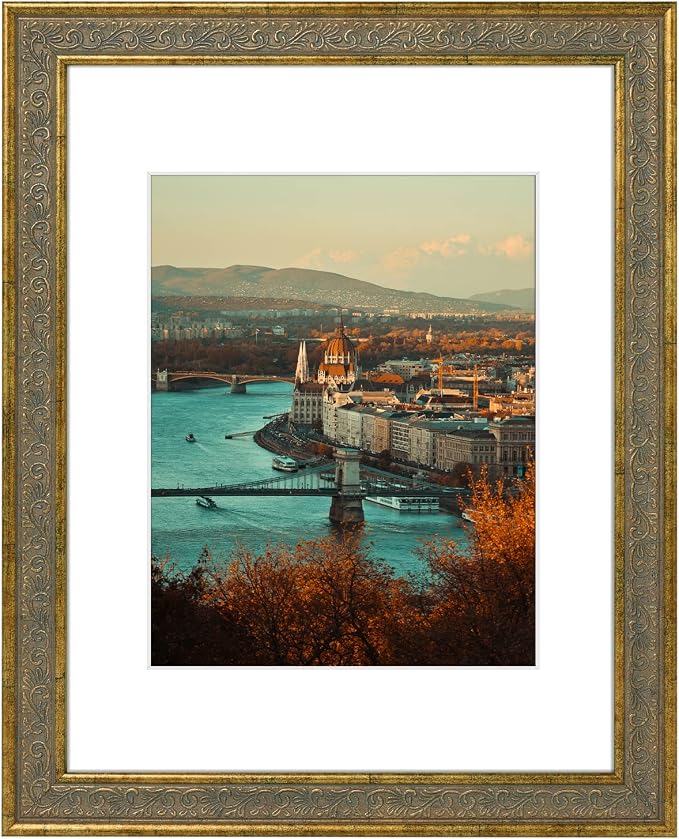Golden State Art, 11X14 Ornate Finish Photo Frame by GoldenStateArt