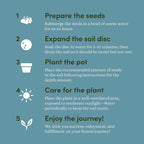 Planter's Choice Bonsai Tree Kit - Image 5