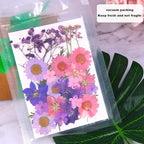 Augshy Dried Pressed Flowers for Resin, Natural Purple Dried Pressed Flowers - Image 4