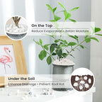SIDONG 20 lbs White River Rocks, 1.2-2 Inches Matte Pebbles - Image 4