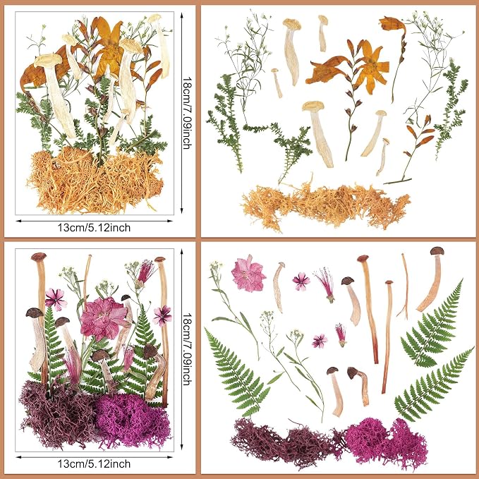 Nuanchu Dried Pressed Flowers for Resin Molds Dried Mushrooms Crafts Fake - Image 3