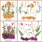 Nuanchu Dried Pressed Flowers for Resin Molds Dried Mushrooms Crafts Fake - Image 3