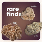 Dan&Darci Rock Collection for Kids - Image 5