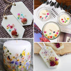 1150 PCS Small Dried Flowers for Crafts - Image 2