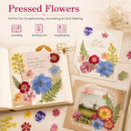 Pressed Dried Flowers for Crafts, Wedding DIY, Jewelry Making, Scrapbooking & - Image 5