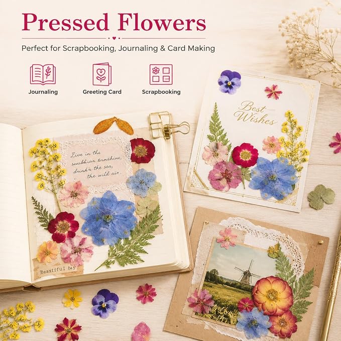 Pressed Dried Flowers for Crafts, Wedding DIY, Jewelry Making, Scrapbooking & - Image 5
