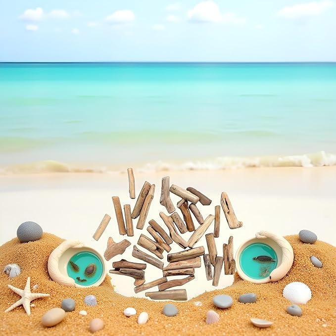 20 Pcs Natural Driftwood Pieces Branch Slices Craft Sticks Beach Decor - Image 4