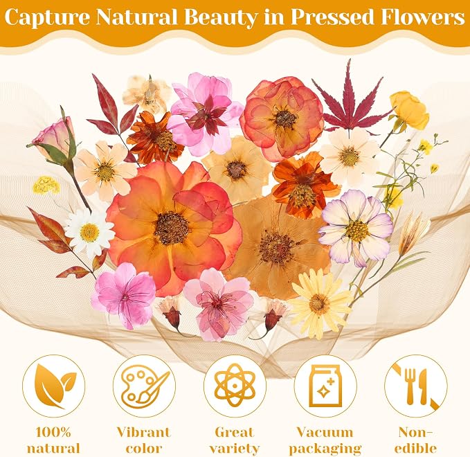 Dried Pressed Flowers for Resin, Real Pressed Flowers Dry Leaves Bulk Natural - Image 7