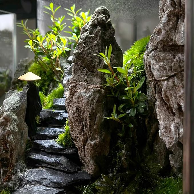 Natural Rocks Slate Stone 1-2.5 Inches Decorative Rocks - Image 7