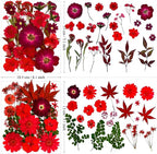 132Pcs Red Pressed Dried Flowers and Butterfly - Image 5