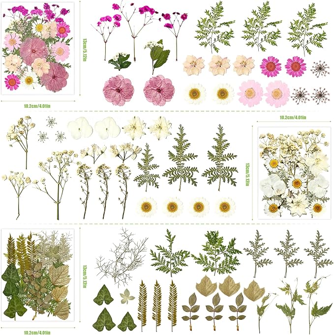 110Pcs Dried Flowers for Crafts, Real Pressed Flowers Dry Leaves Bulk Natural - Image 3