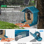 Bird Feeder with Camera, AI Bird Identification, Full HD Live Video, Solar - Image 5