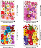 Augshy 141Pcs Dried Pressed Flowers - Image 2