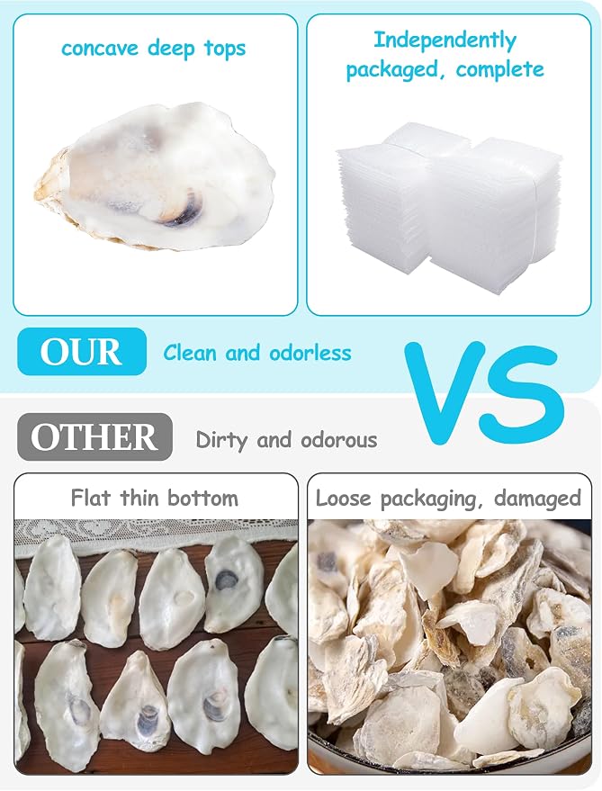10Pcs Oyster Shells for Crafts， 3"-4" Large Oyster Shell for Crafts，Oyster - Image 6