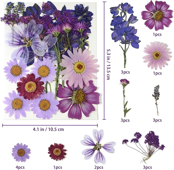 Purple Dried Pressed Flowers Real Natural Petals Bulk - Image 2