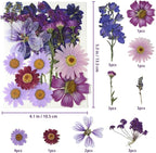Purple Dried Pressed Flowers Real Natural Petals Bulk - Image 2