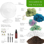 Creations by Nathalie DIY 6" Chalice Terrarium Kit Build Your Own Glass - Image 2
