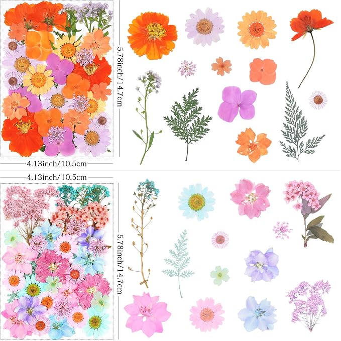 141Pcs Dried Pressed Flowers for Crafts, Xinxinran Dry Flower Kit for Resin - Image 3